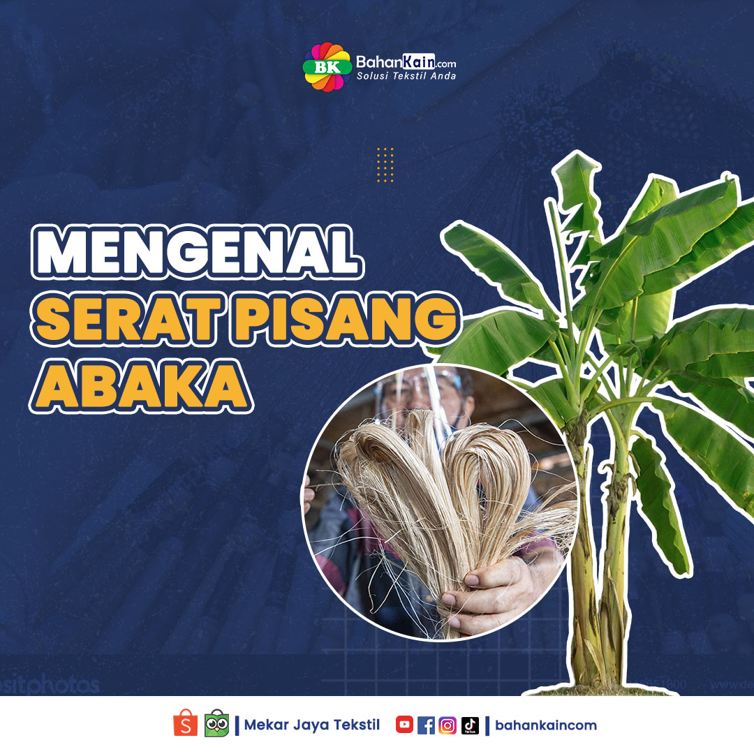 Mengenal Serat Pisang Abaka Dan Karakteristiknya